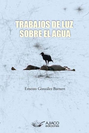 Trabajos de luz sobre el agua